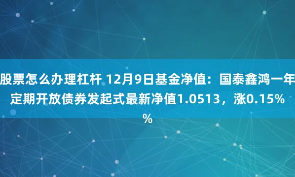 股票怎么办理杠杆 12月9日基金净值：国泰鑫鸿一年定期开放债券发起式最新净值1.0513，涨0.15%