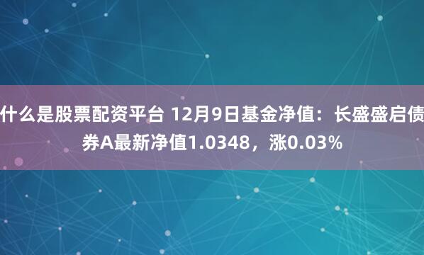 什么是股票配资平台 12月9日基金净值：长盛盛启债券A最新净值1.0348，涨0.03%