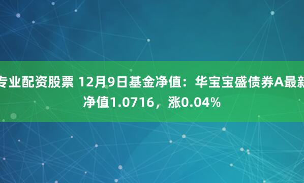 专业配资股票 12月9日基金净值：华宝宝盛债券A最新净值1.0716，涨0.04%