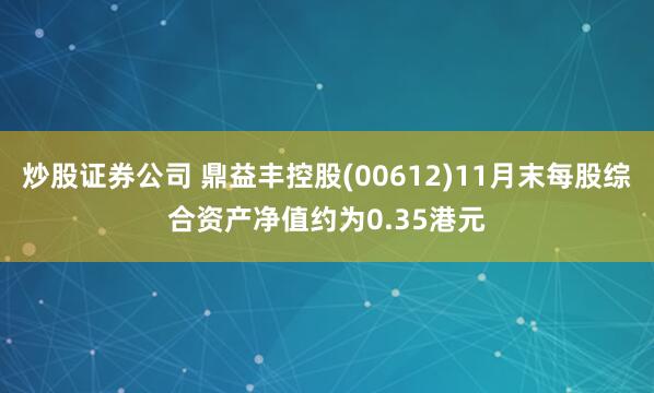 炒股证券公司 鼎益丰控股(00612)11月末每股综合资产净值约为0.35港元