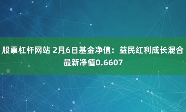 股票杠杆网站 2月6日基金净值：益民红利成长混合最新净值0.6607