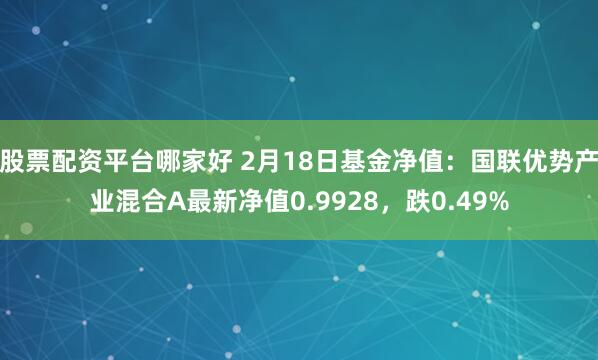 股票配资平台哪家好 2月18日基金净值：国联优势产业混合A最新净值0.9928，跌0.49%